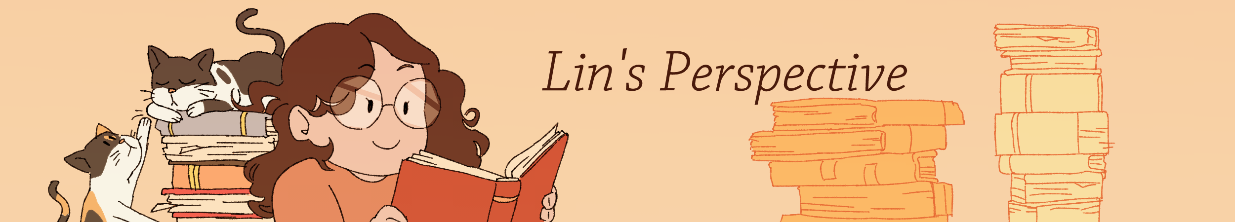 Lin's Perspective