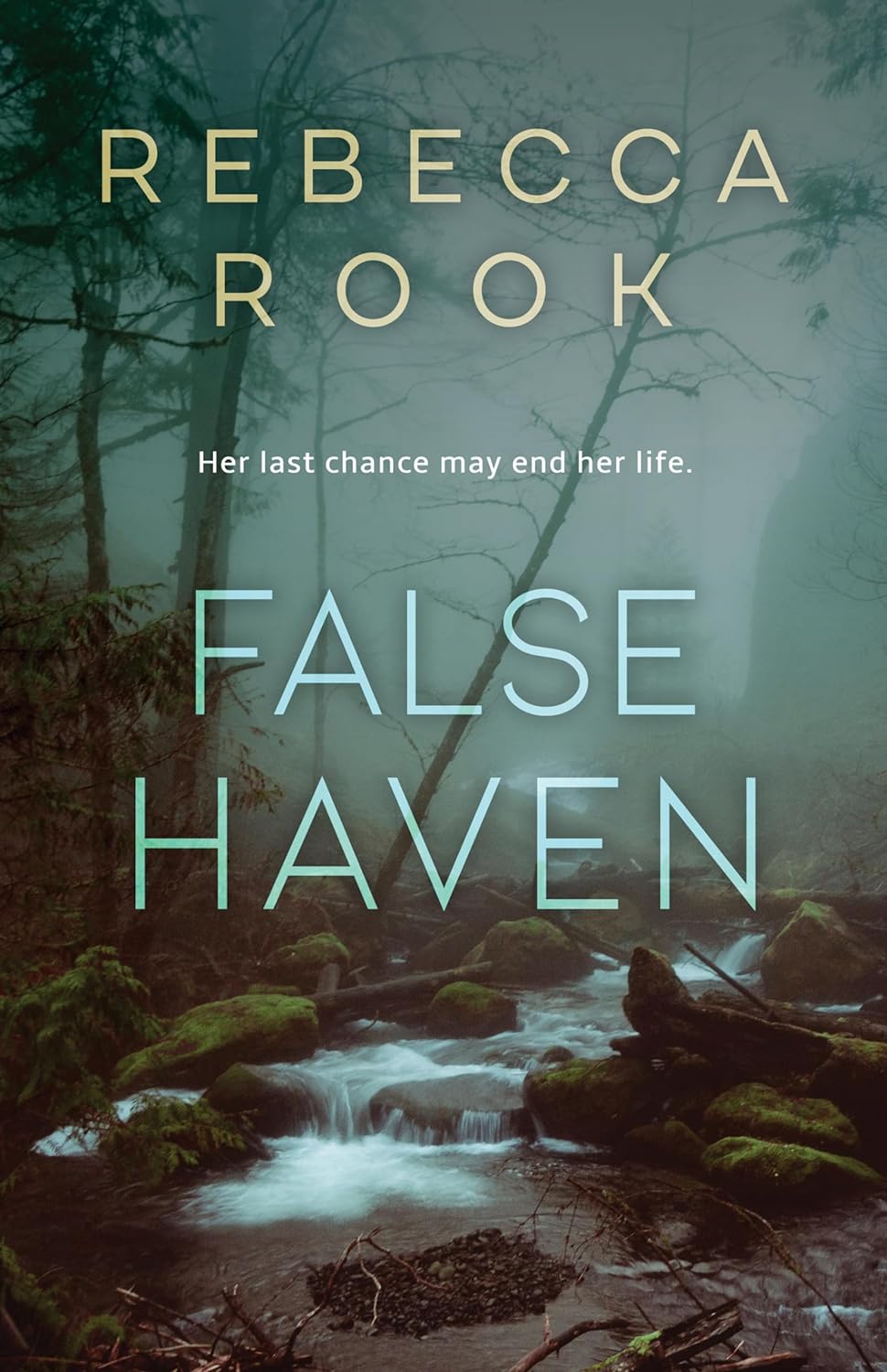 BOOK BLITZ: FALSE HAVEN BY REBECCA ROOK + GIVEAWAY